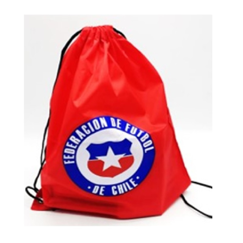 BOLSA CHILE